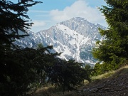 18 Zoom in Pizzo di Roncobello 
